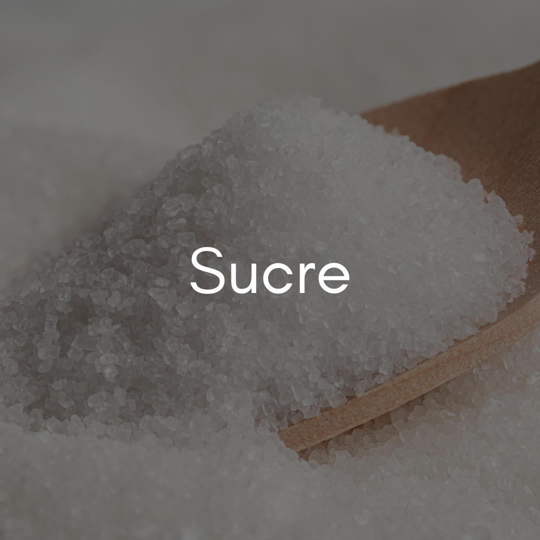 Sucre Atelier Gourmandise