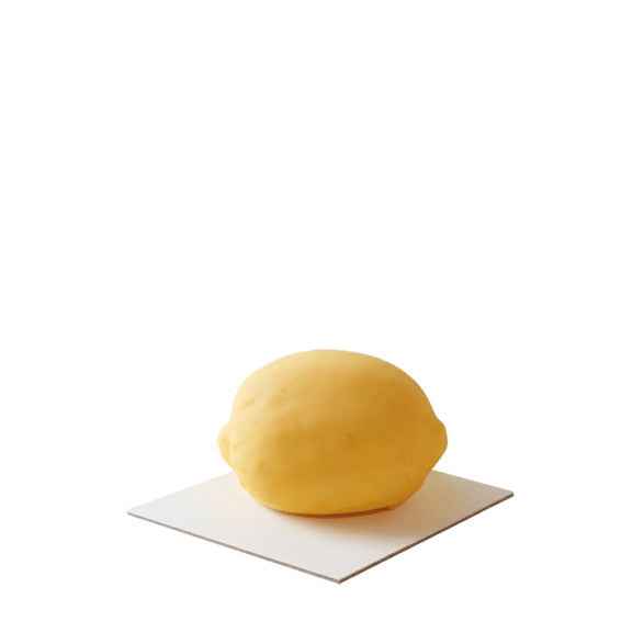 Moule trompe l'œil citron DR340 x4 unités
